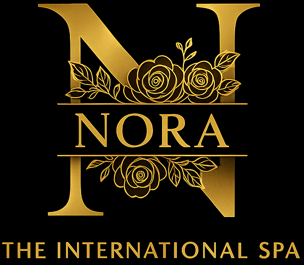 Nora International Spa logo